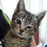 ゆんぺい profil fotoğrafı