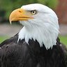 POTUS47's profile picture