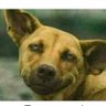 Ontle's profile picture