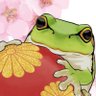 フロッグログロック 的头像