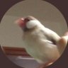roggy profil fotoğrafı