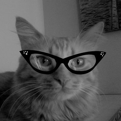 John Nieve's profile picture