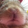 ちー's profile picture