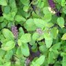 Фото профиля ちゃっきぃ