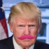 RonaldFrump 的头像