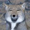 たろうさんさん profil fotoğrafı
