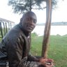 Dave Kosgei's profile picture