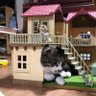 Фото профиля あめいろ猫★