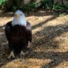 Dennis E. Quest profil fotoğrafı