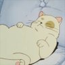 Puar 的头像