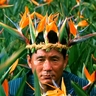 Kamiku's profile picture