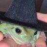 spookie profil fotoğrafı