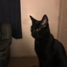Thomas profil fotoğrafı