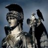 Pallaschezvous's profile picture