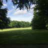 Фото профиля Eschscholeschek