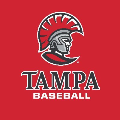 Tampa Baseball's profile picture