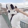 Profilbild von じぇひょく