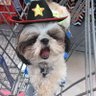 ☄️💫💥CoCo Say's‼️ 的头像