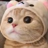 Profilbild von 爱人不自知