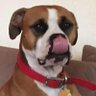 SidneyJean profil fotoğrafı