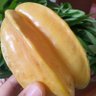 Фото профиля Mantan Dosen