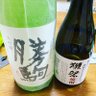 ネモピカ 的头像