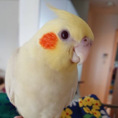 ranchan320's profile picture