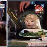 渡鸦 的头像