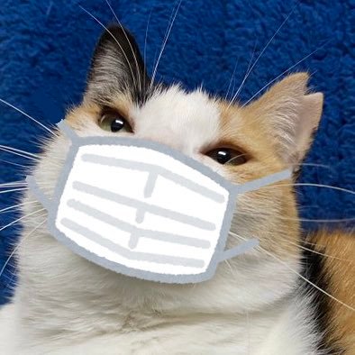 itokei110's profile picture