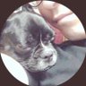 maro's profile picture