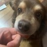 Фото профиля Minamin🐶🍴