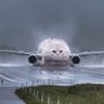 Profilbild von ぱうだー
