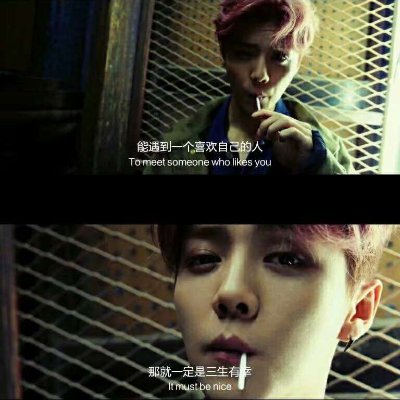 dongdongya520's profile picture
