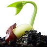 Фото профиля Seed.