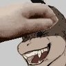 🌊 Shork Keith 🌊 profil fotoğrafı