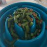 Фото профиля GR Green Beans - Now Disguised as Broccoli 🇨🇦