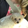 Jane's profile picture