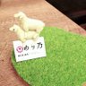 ナス科の多年草's profile picture
