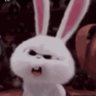 Profilbild von 🥕