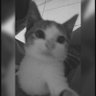 Kukulcan's profile picture