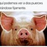 Pedro69 profil fotoğrafı