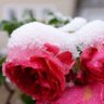 Фото профиля برق الشمال
