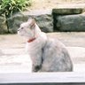 ももずる🍒's profile picture