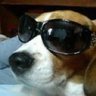Profilbild von かおる。