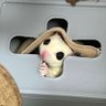 虎太郎's profile picture