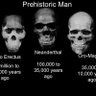 Ed P. profil fotoğrafı