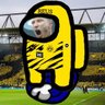 Profilbild von モドロイス 🇩🇪🐝‎⚪️👑