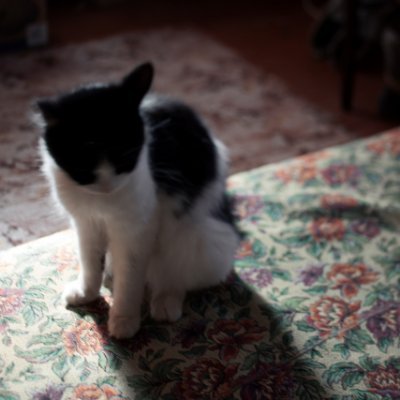 MiaNaria's profile picture