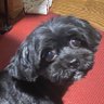 Фото профиля 大きなけいちゃん