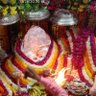 Фото профиля anna sharma